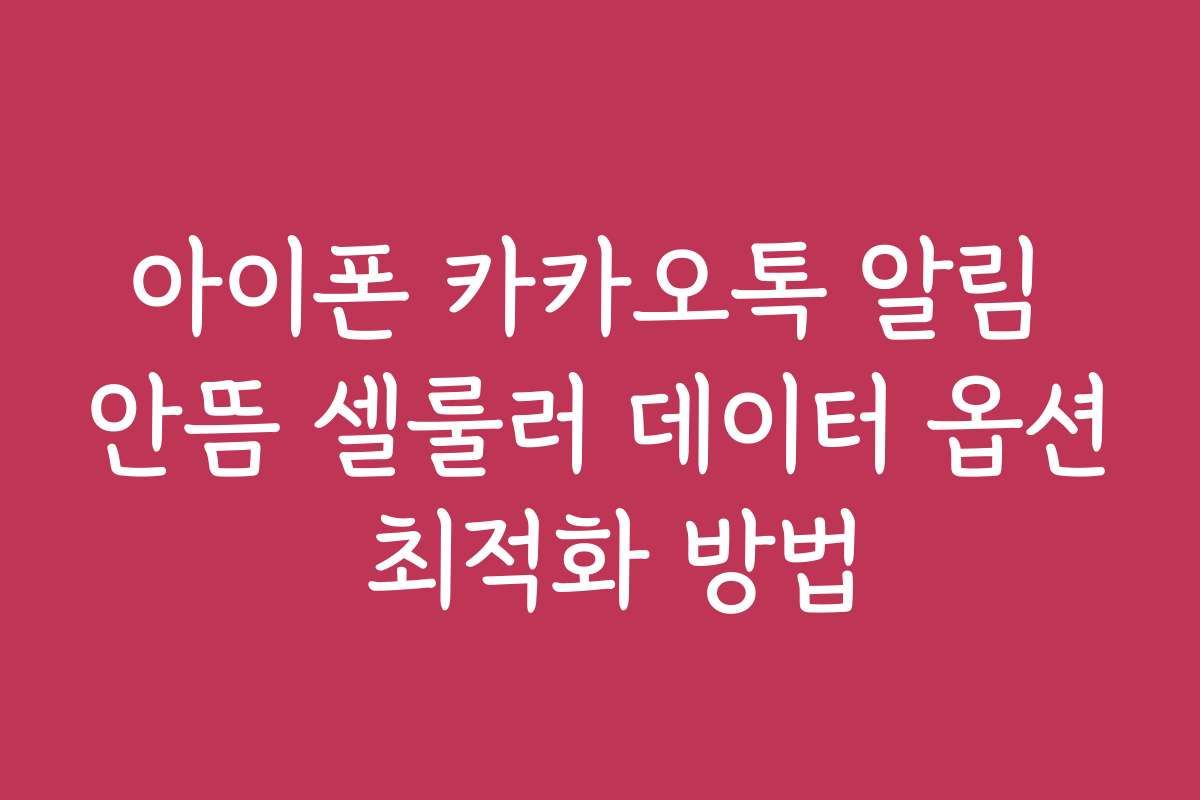 아이폰 카카오톡 알림 안뜸 셀룰러 데이터 옵션 최적화 방법