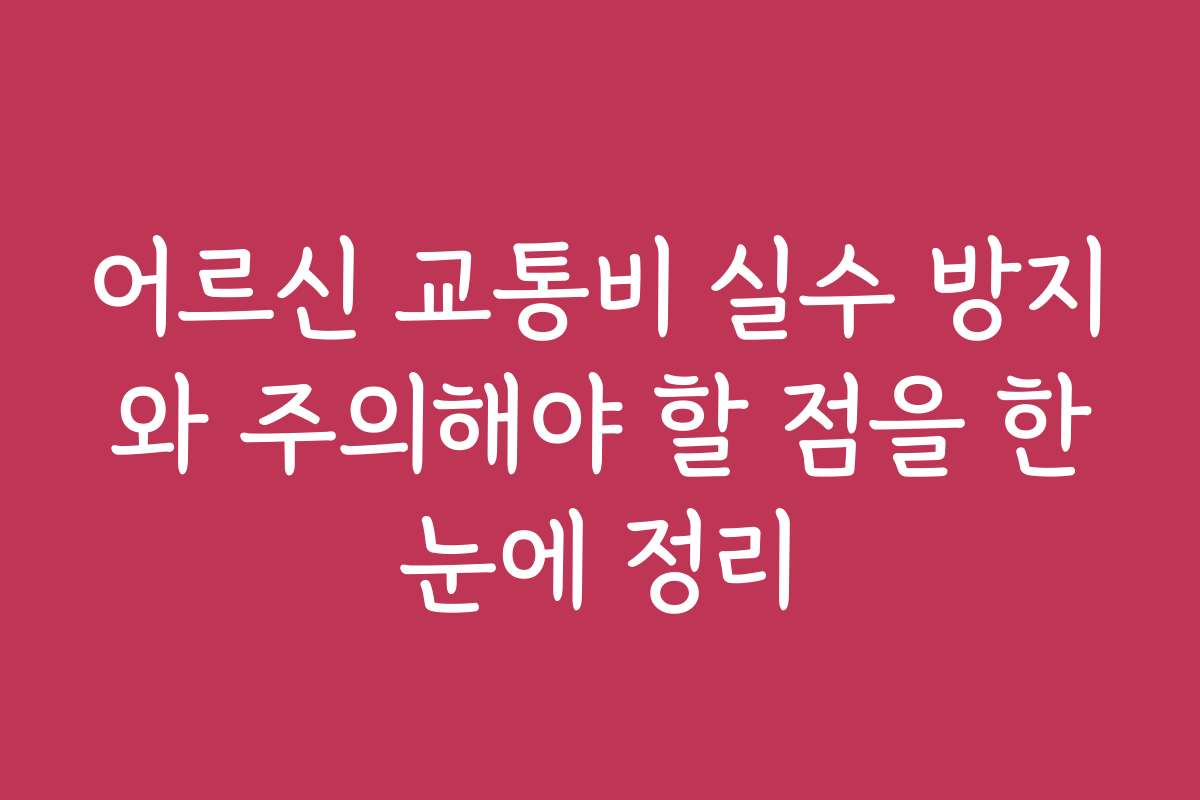어르신 교통비 실수 방지와 주의해야 할 점을 한눈에 정리