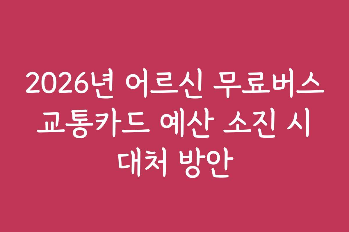 2026년 어르신 무료버스 교통카드 예산 소진 시 대처 방안
