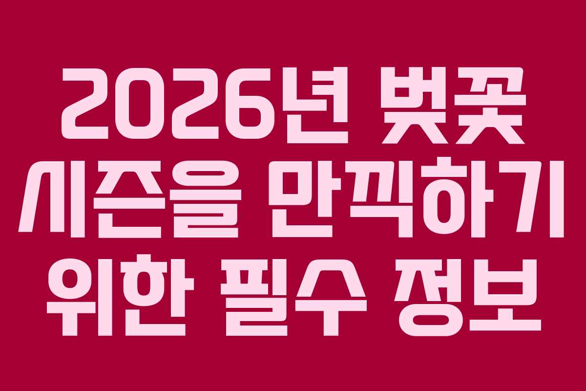 2026년 벚꽃 시즌을 만끽하기 위한 필수 정보