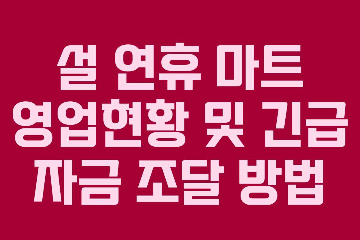설 연휴 마트 영업현황 및 긴급 자금 조달 방법