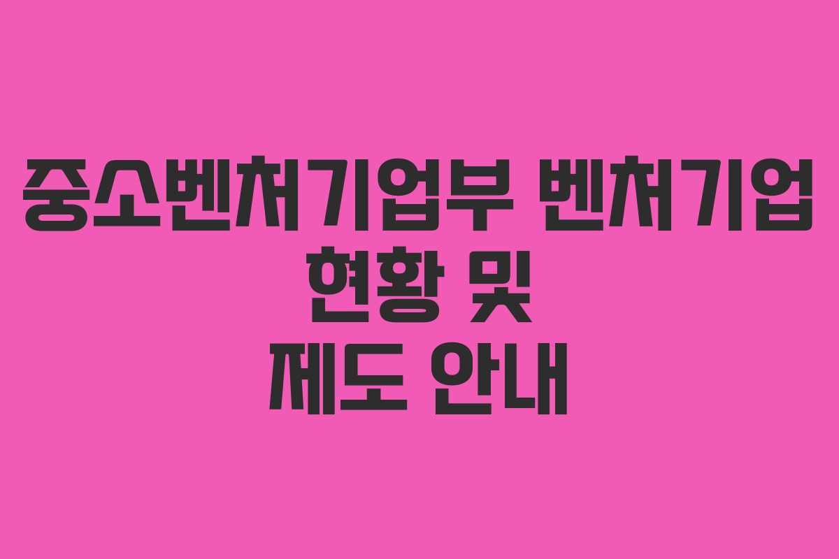 중소벤처기업부 벤처기업 현황 및 제도 안내