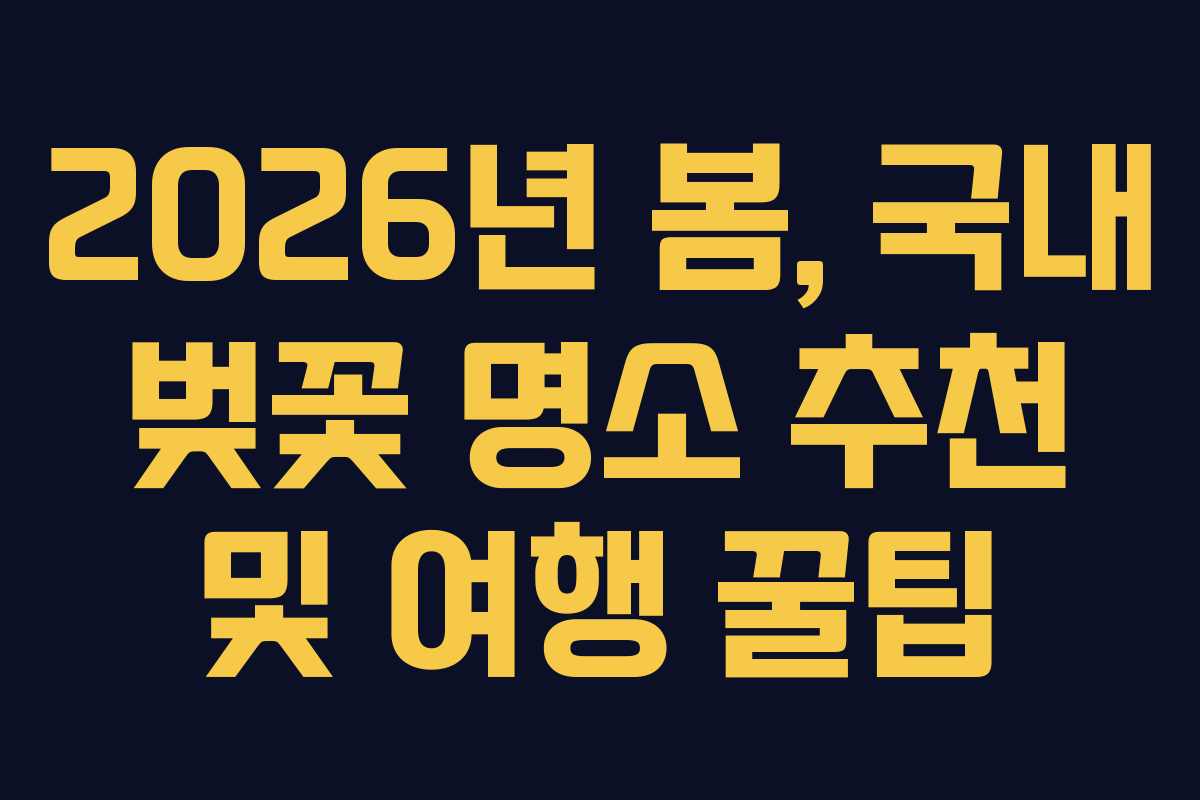 2026년 봄, 국내 벚꽃 명소 추천 및 여행 꿀팁