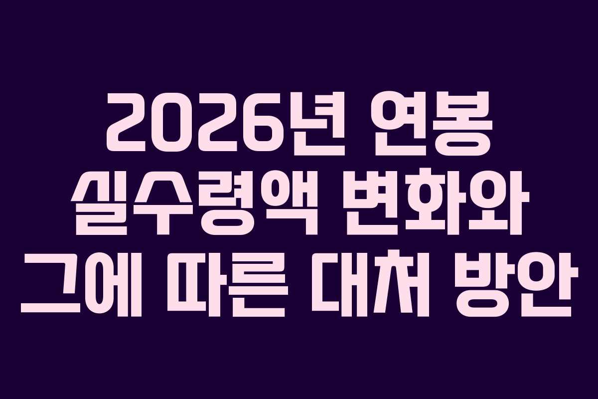 2026년 연봉 실수령액 변화와 그에 따른 대처 방안