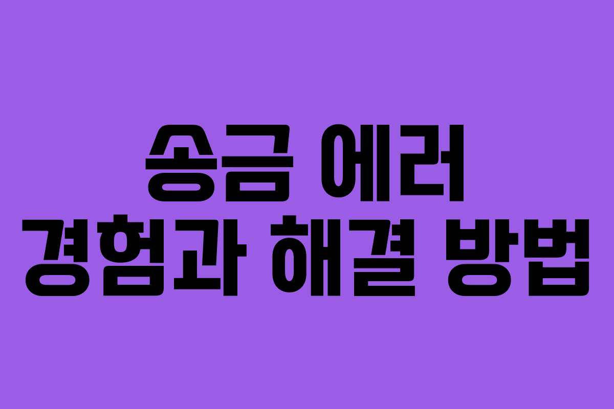 송금 에러 경험과 해결 방법