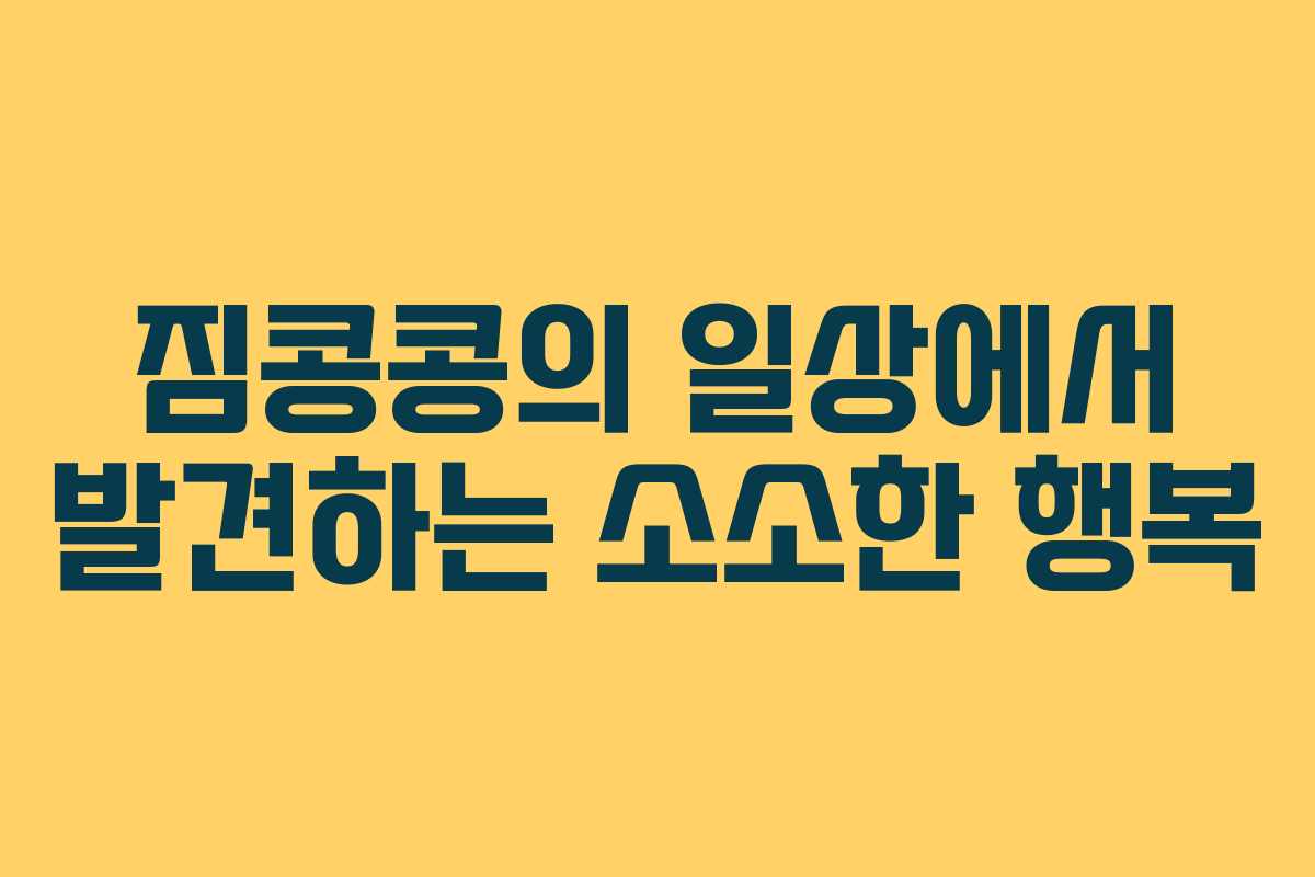 짐콩콩의 일상에서 발견하는 소소한 행복