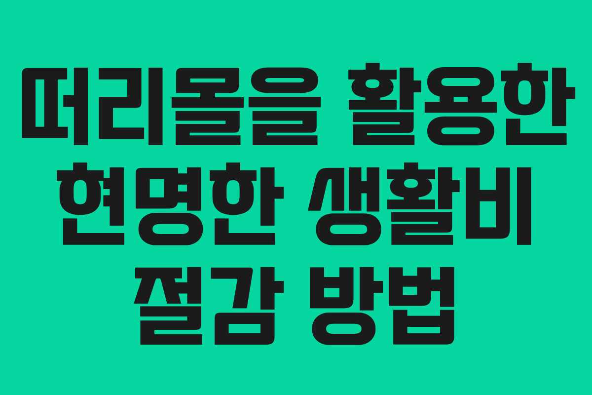 떠리몰을 활용한 현명한 생활비 절감 방법