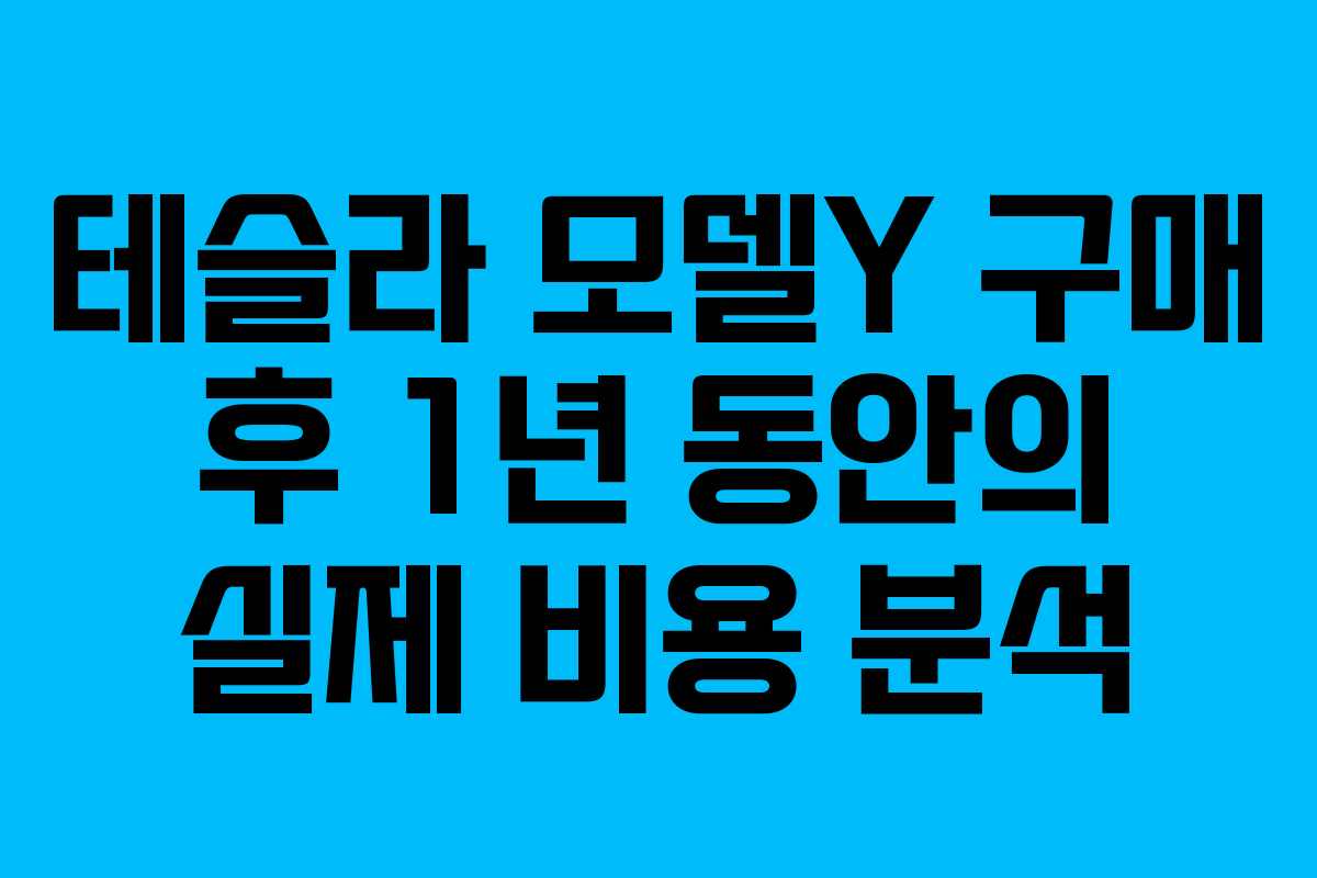 테슬라 모델Y 구매 후 1년 동안의 실제 비용 분석