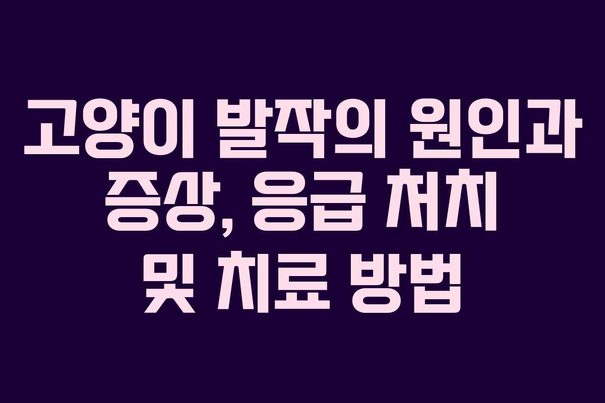 고양이 발작의 원인과 증상, 응급 처치 및 치료 방법