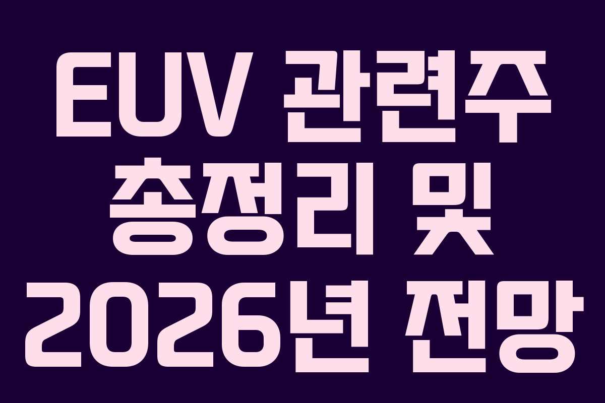 EUV 관련주 총정리 및 2026년 전망