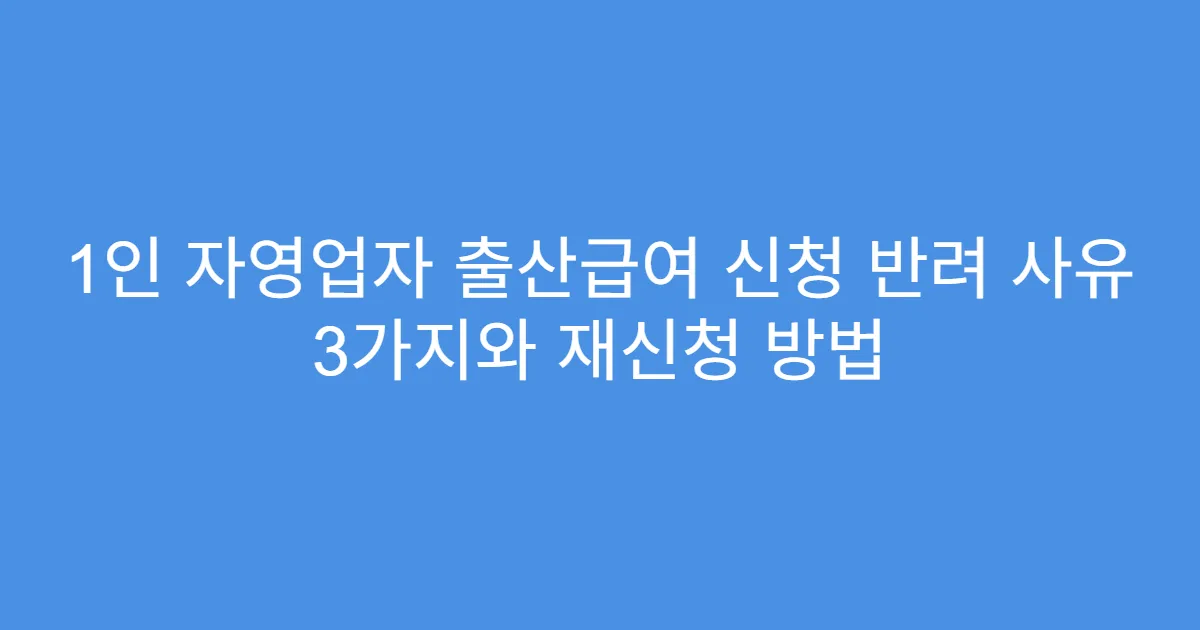 1인 자영업자 출산급여 신청 반려 사유 3가지와 재신청 방법
