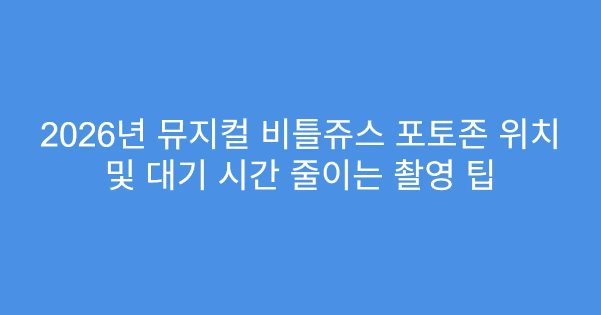 2026년 뮤지컬 비틀쥬스 포토존 위치 및 대기 시간 줄이는 촬영 팁