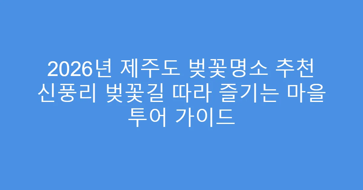 2026년 제주도 벚꽃명소 추천 신풍리 벚꽃길 따라 즐기는 마을 투어 가이드