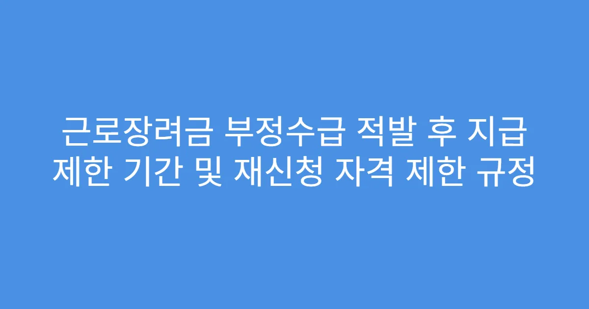 근로장려금 부정수급 적발 후 지급 제한 기간 및 재신청 자격 제한 규정