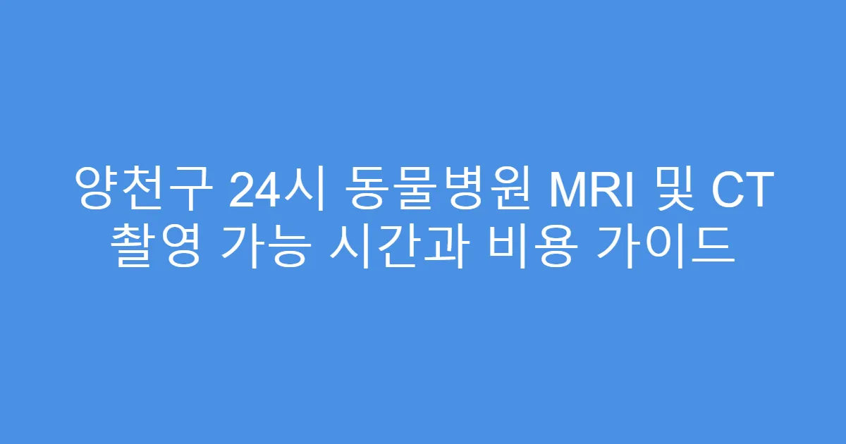 양천구 24시 동물병원 MRI 및 CT 촬영 가능 시간과 비용 가이드