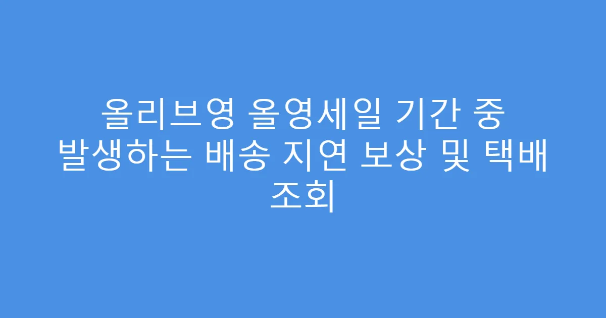 올리브영 올영세일 기간 중 발생하는 배송 지연 보상 및 택배 조회