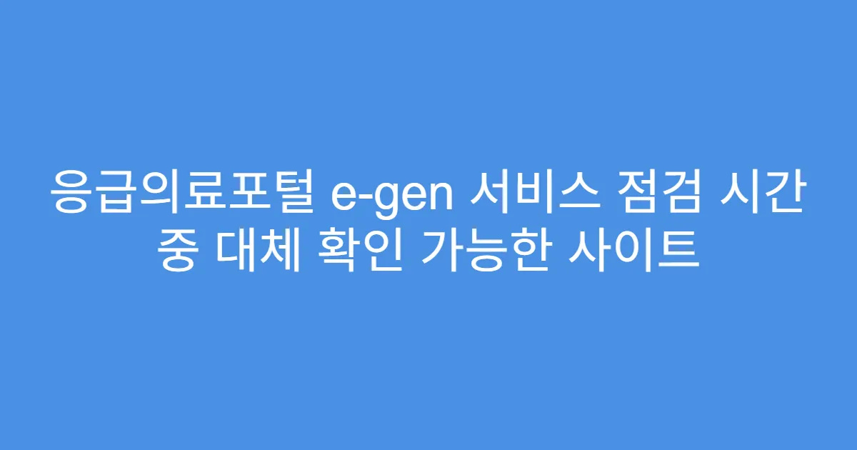 응급의료포털 e-gen 서비스 점검 시간 중 대체 확인 가능한 사이트