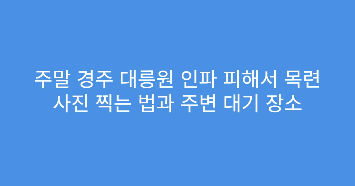 주말 경주 대릉원 인파 피해서 목련 사진 찍는 법과 주변 대기 장소