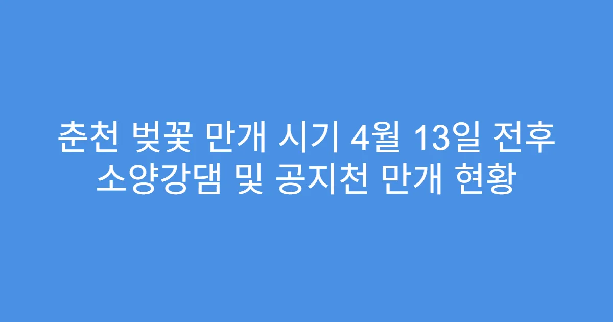 춘천 벚꽃 만개 시기 4월 13일 전후 소양강댐 및 공지천 만개 현황