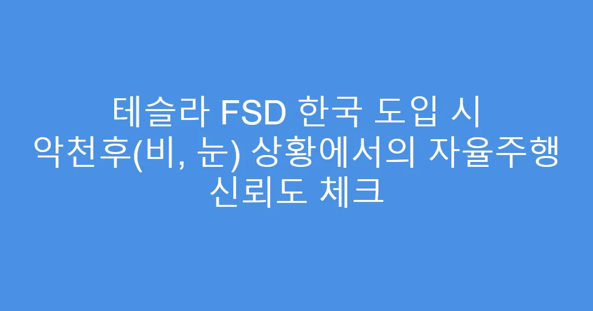 테슬라 FSD 한국 도입 시 악천후(비, 눈) 상황에서의 자율주행 신뢰도 체크