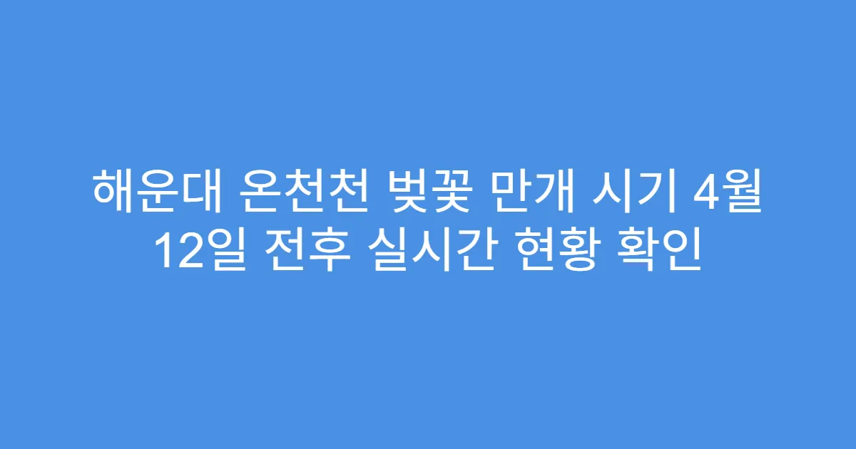 해운대 온천천 벚꽃 만개 시기 4월 12일 전후 실시간 현황 확인