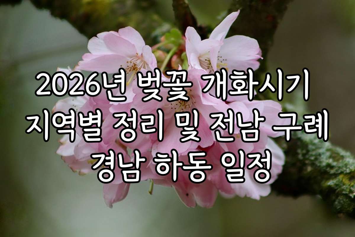 2026년 벚꽃 개화시기 지역별 정리 및 전남 구례 경남 하동 일정