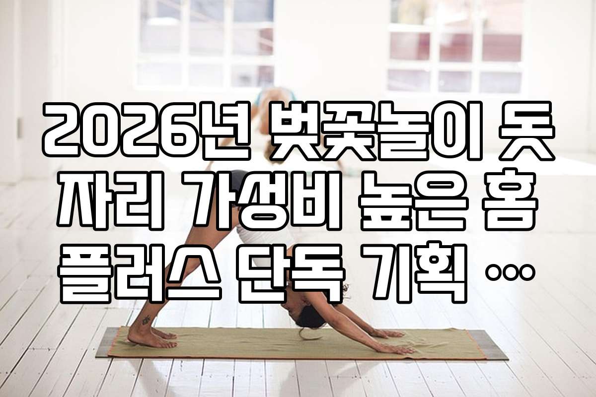2026년 벚꽃놀이 돗자리 가성비 높은 홈플러스 단독 기획 상품