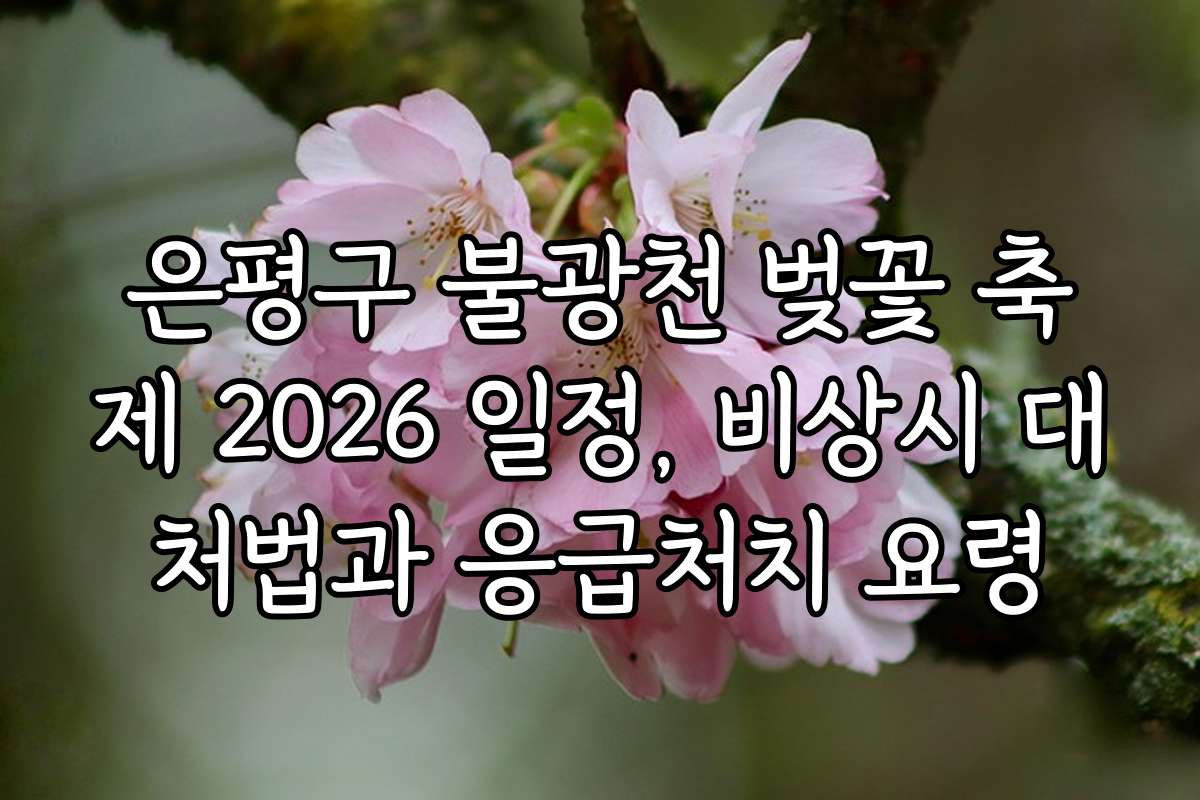 은평구 불광천 벚꽃 축제 2026 일정, 비상시 대처법과 응급처치 요령