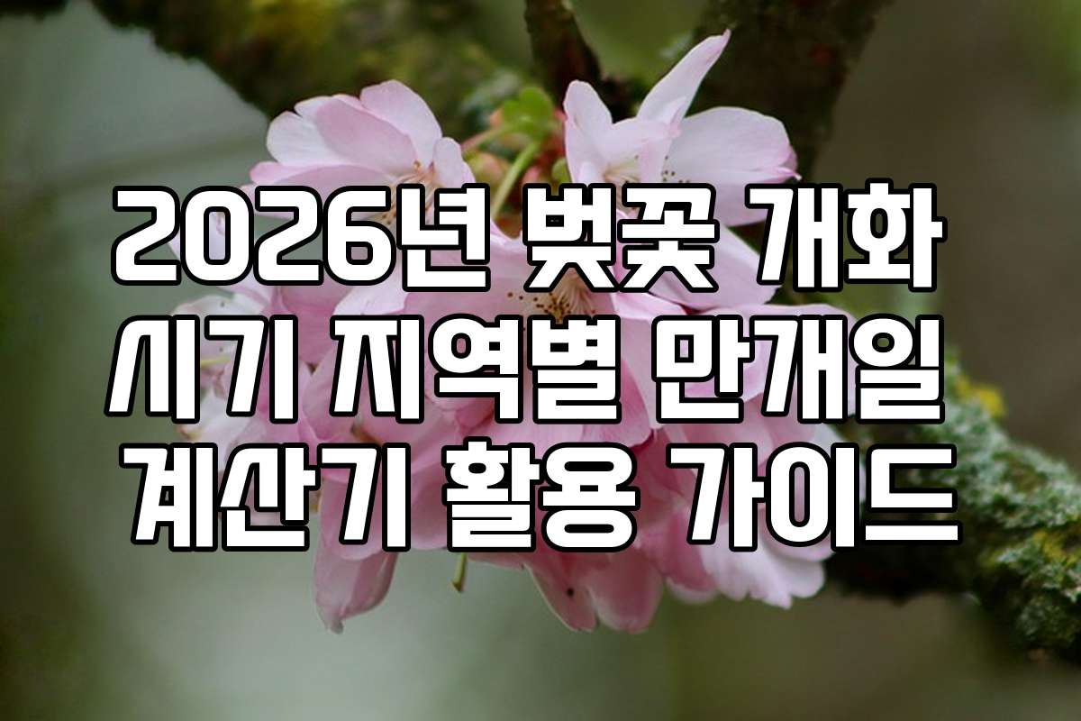 2026년 벚꽃 개화 시기 지역별 만개일 계산기 활용 가이드