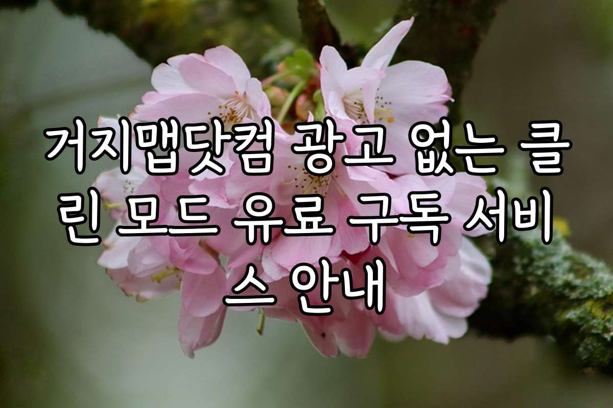 거지맵닷컴 광고 없는 클린 모드 유료 구독 서비스 안내