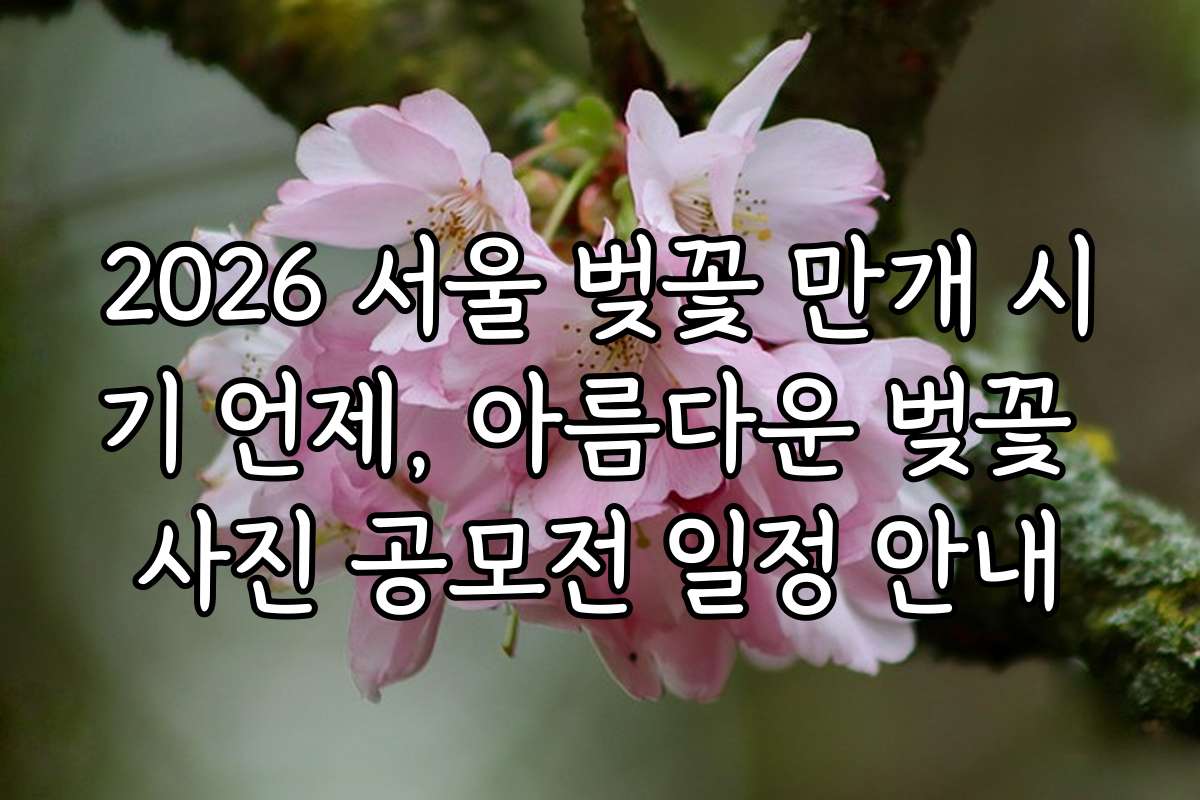 2026 서울 벚꽃 만개 시기 언제, 아름다운 벚꽃 사진 공모전 일정 안내