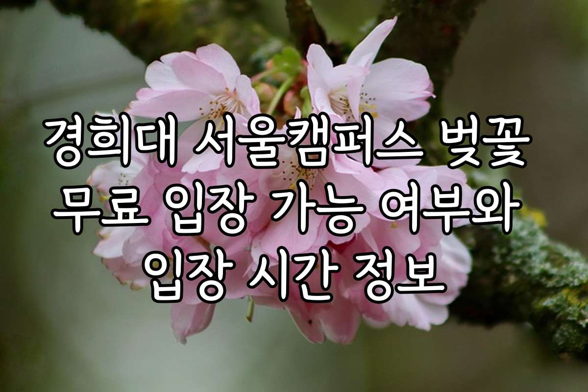 경희대 서울캠퍼스 벚꽃 무료 입장 가능 여부와 입장 시간 정보