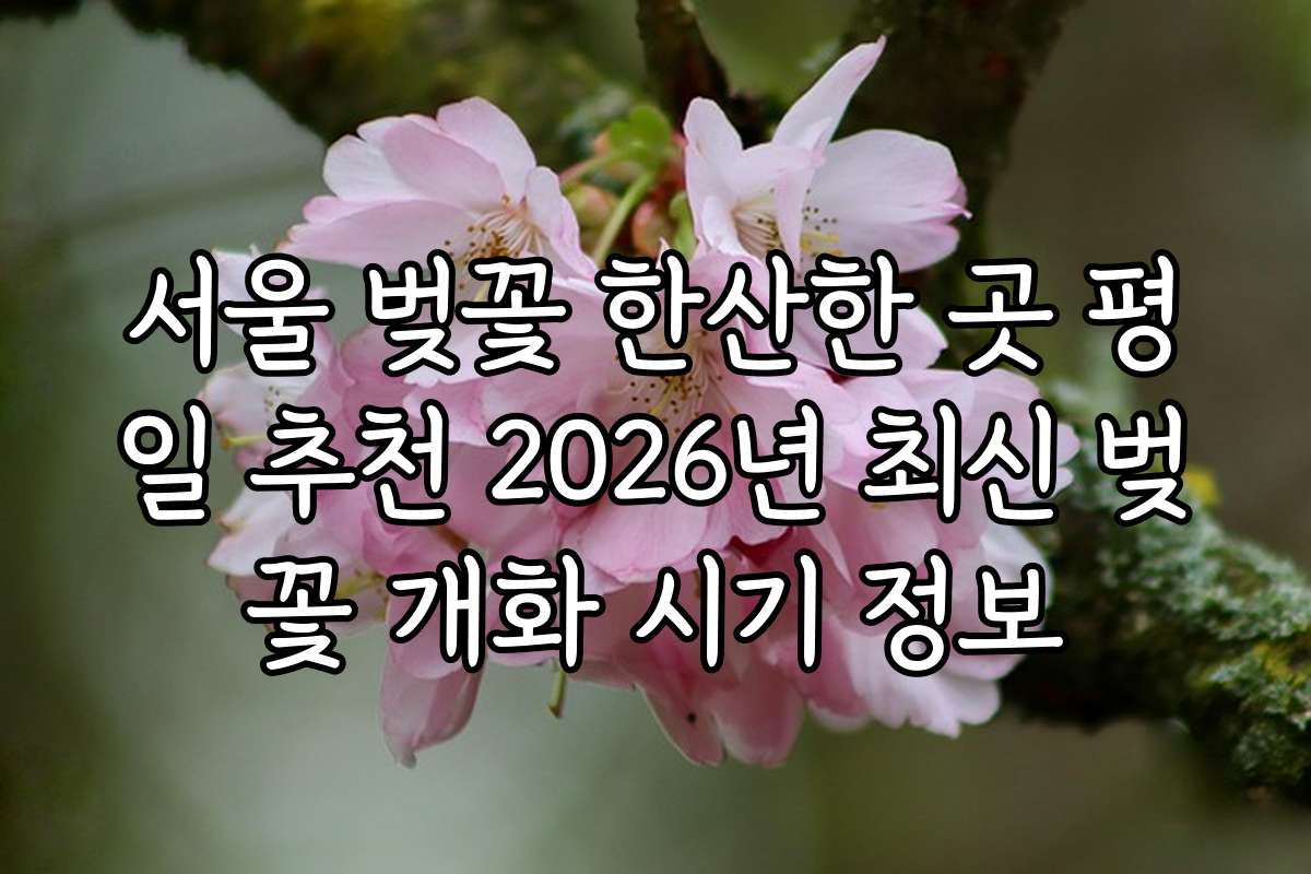 서울 벚꽃 한산한 곳 평일 추천 2026년 최신 벚꽃 개화 시기 정보