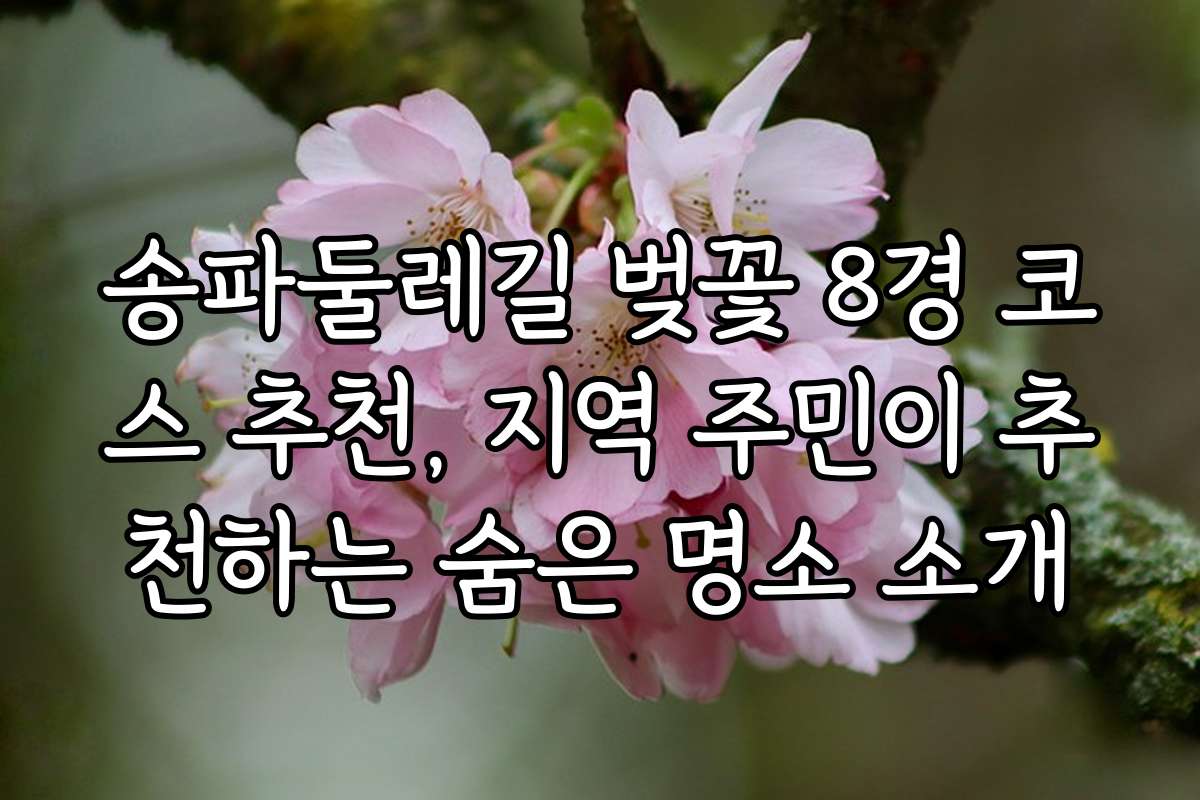 송파둘레길 벚꽃 8경 코스 추천, 지역 주민이 추천하는 숨은 명소 소개