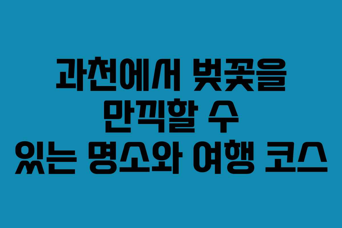 과천에서 벚꽃을 만끽할 수 있는 명소와 여행 코스