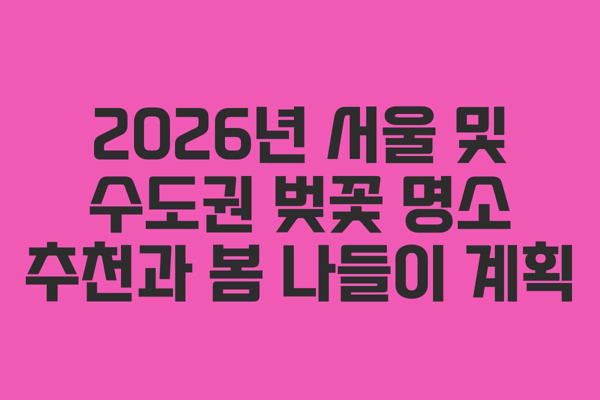 2026년 서울 및 수도권 벚꽃 명소 추천과 봄 나들이 계획