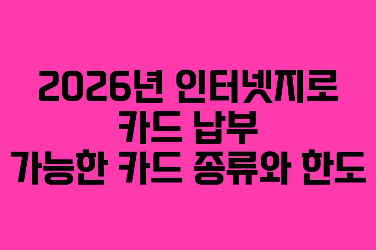2026년 인터넷지로 카드 납부 가능한 카드 종류와 한도
