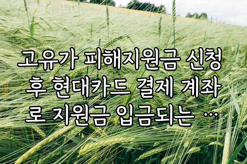 고유가 피해지원금 신청 후 현대카드 결제 계좌로 지원금 입금되는 날짜