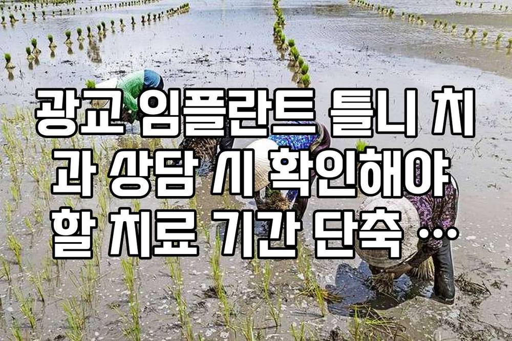 광교 임플란트 틀니 치과 상담 시 확인해야 할 치료 기간 단축 프로그램