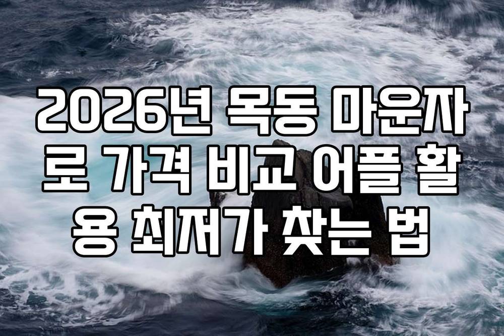 2026년 목동 마운자로 가격 비교 어플 활용 최저가 찾는 법
