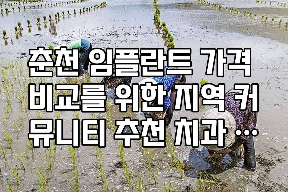 춘천 임플란트 가격 비교를 위한 지역 커뮤니티 추천 치과 리스트
