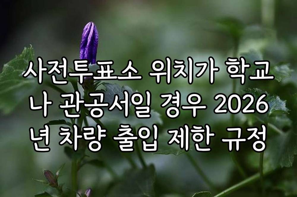 사전투표소 위치가 학교나 관공서일 경우 2026년 차량 출입 제한 규정