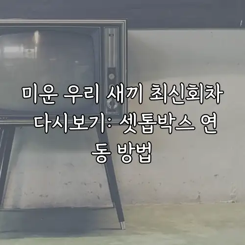 미운 우리 새끼 최신회차 다시보기: 셋톱박스 연동 방법