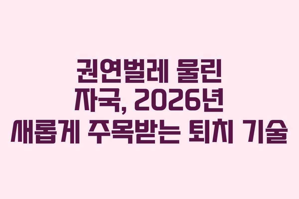 권연벌레-물린-자국,-2026년-새롭게-주목받는-퇴치-기술