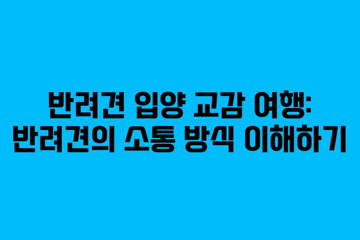 반려견-입양-교감-여행-반려견의-소통-방식-이해하기