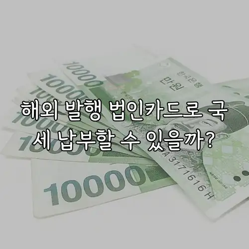 해외 발행 법인카드로 국세 납부할 수 있을까?