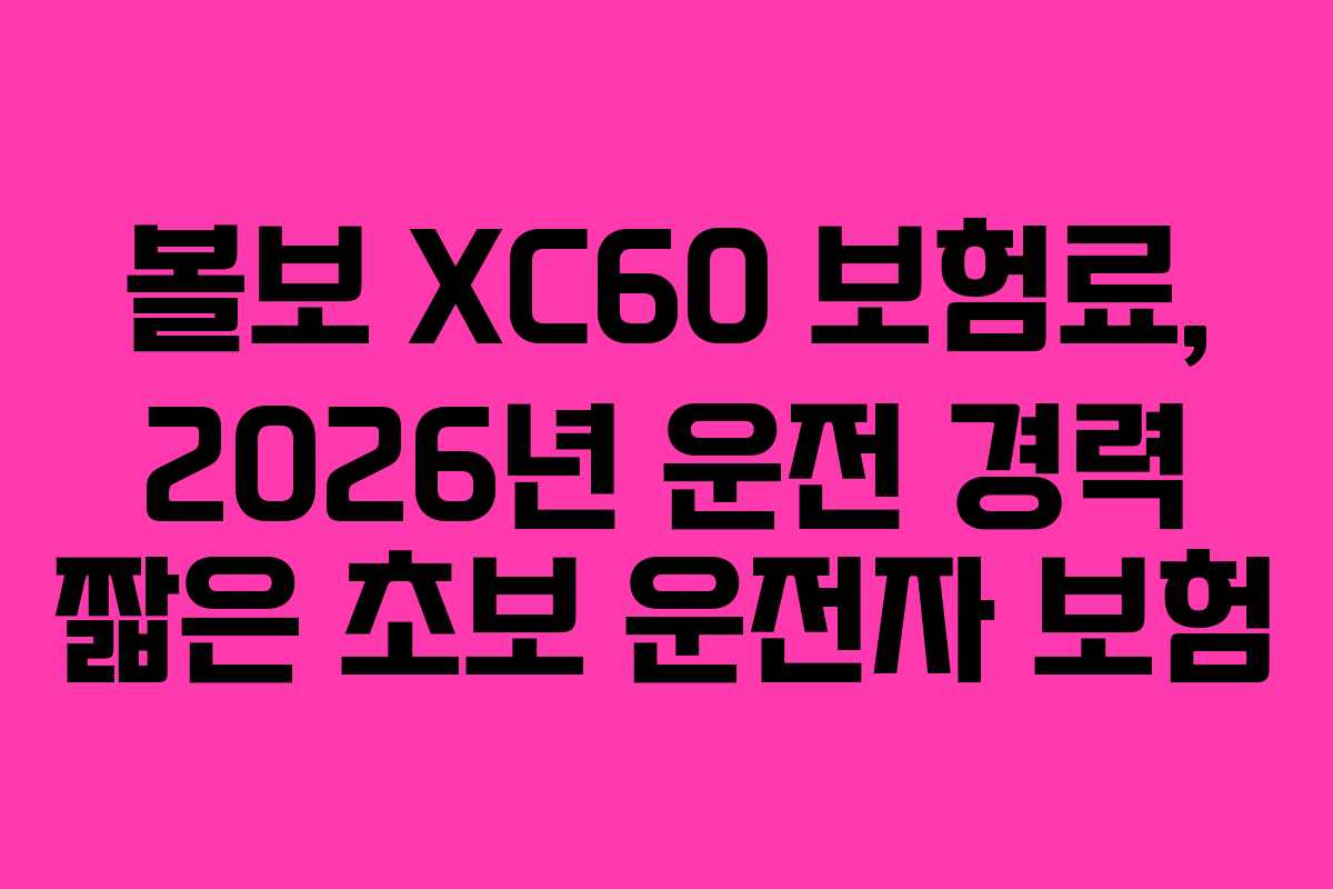 볼보-XC60-보험료,-2026년-운전-경력-짧은-초보-운전자-보험